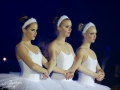 9841089_orig.jpg