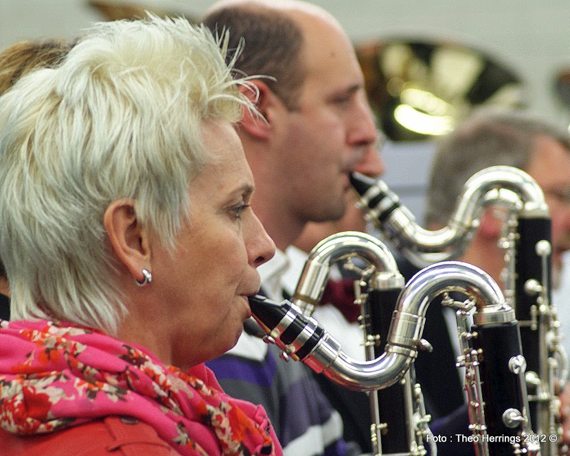 Symphonica in Concert_Budel 2012_EMM en Amor Musae_Foto Theo Herrings  (43).JPG