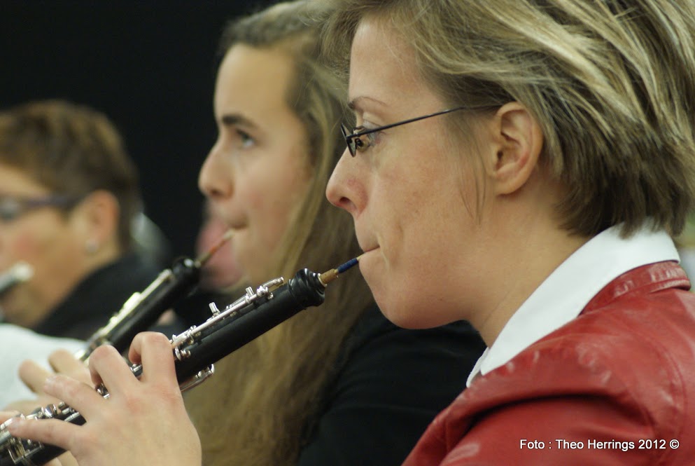 Symphonica in Concert_Budel 2012_EMM en Amor Musae_Foto Theo Herrings  (53).JPG